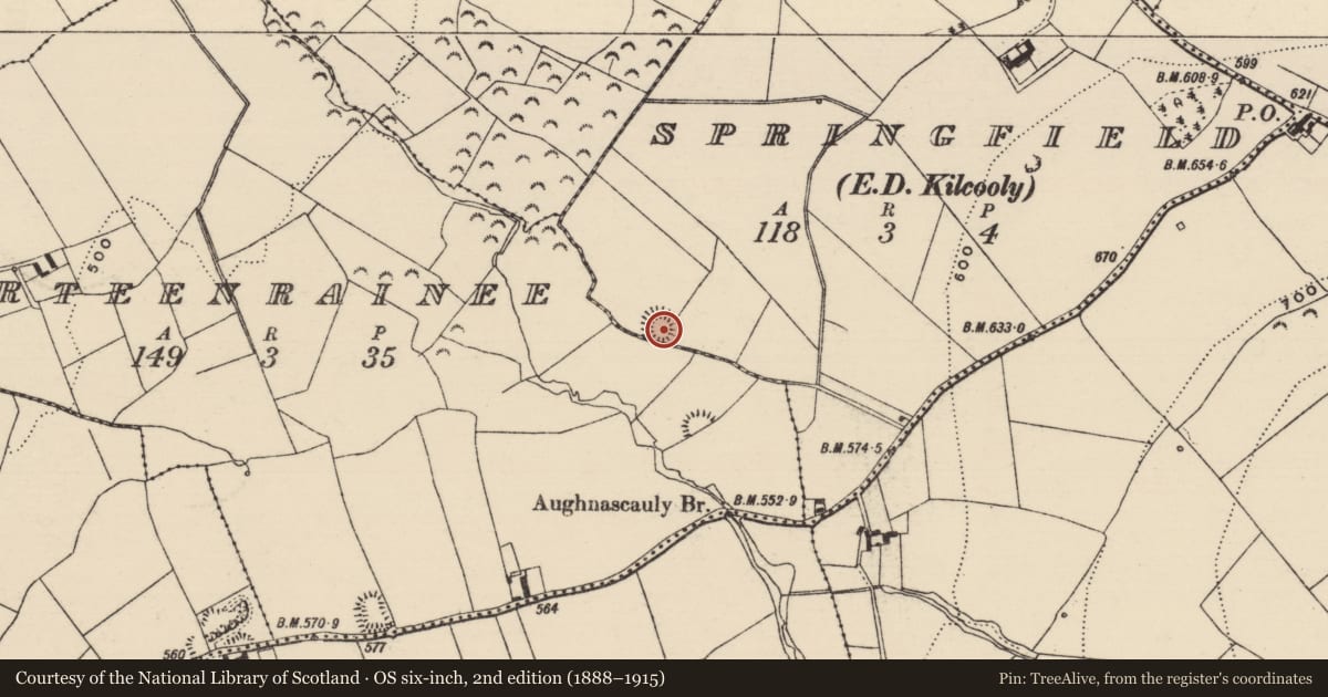 Ordnance Survey six-inch map, 2nd edition (1888–1915) covering the location of Enclosure, Gorteenrainee, Springfield (Kilcooly Par.), County Tipperary South, with a pin at the register's coordinates