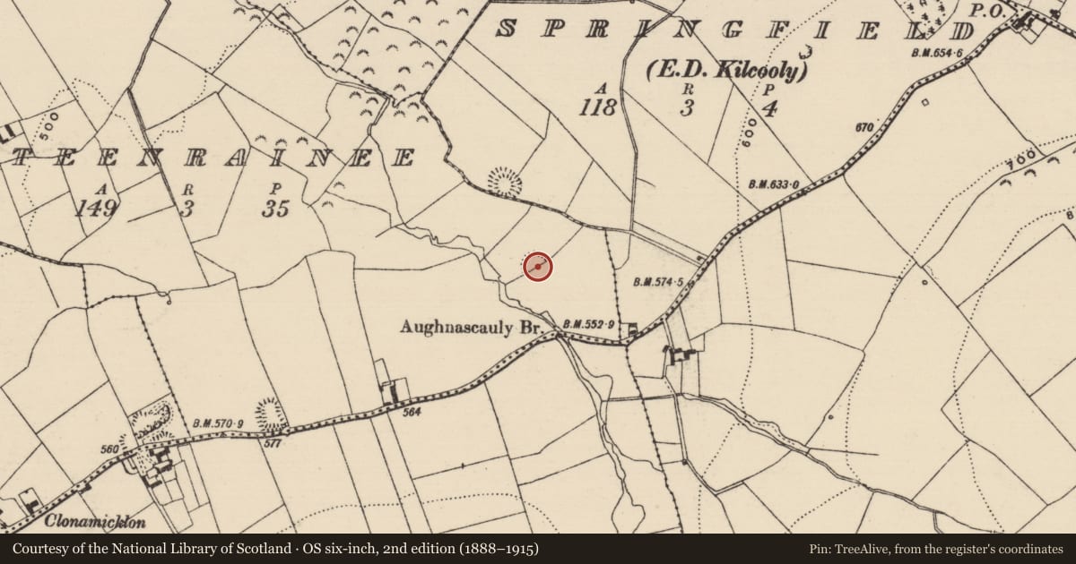 Ordnance Survey six-inch map, 2nd edition (1888–1915) covering the location of Enclosure, Gorteenrainee, County Tipperary South, with a pin at the register's coordinates