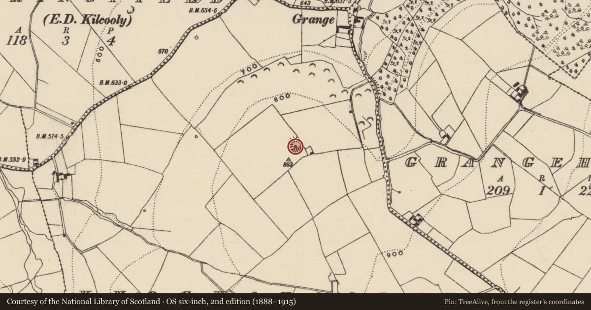 Ordnance Survey six-inch map, 2nd edition (1888–1915) covering the location of Barrow - ring-barrow, Knockatooreen, County Tipperary South, with a pin at the register's coordinates
