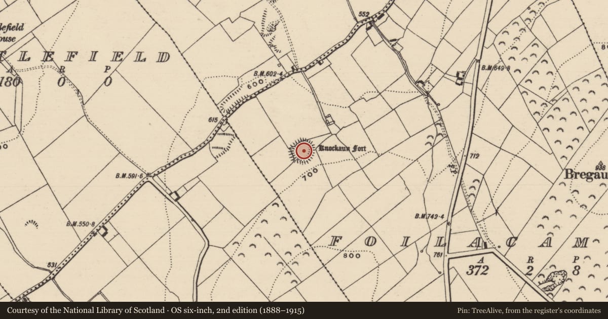Ordnance Survey six-inch map, 2nd edition (1888–1915) covering the location of Ringfort - rath, Foilacamin, County Tipperary South, with a pin at the register's coordinates