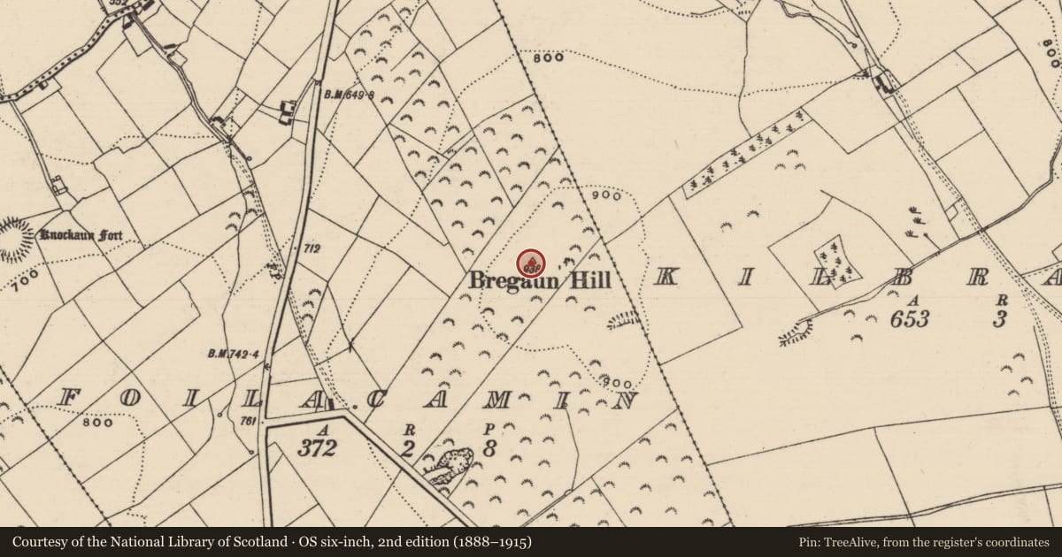 Ordnance Survey six-inch map, 2nd edition (1888–1915) covering the location of Cairn - unclassified, Foilacamin, County Tipperary South, with a pin at the register's coordinates