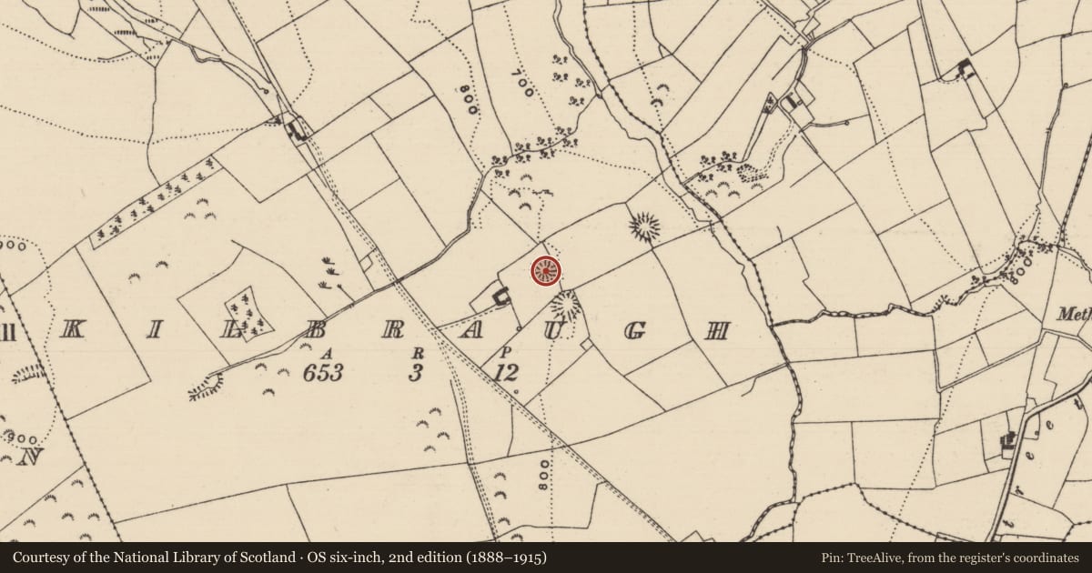 Ordnance Survey six-inch map, 2nd edition (1888–1915) covering the location of Enclosure, Kilbraugh, County Tipperary South, with a pin at the register's coordinates