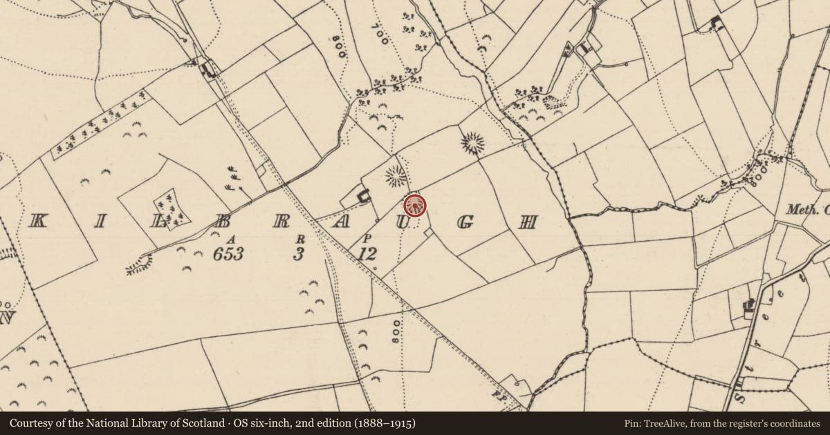 Ordnance Survey six-inch map, 2nd edition (1888–1915) covering the location of Enclosure, Kilbraugh, County Tipperary South, with a pin at the register's coordinates
