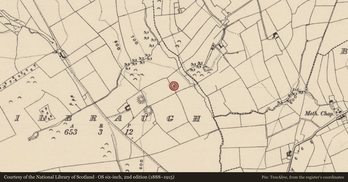 Ordnance Survey six-inch map, 2nd edition (1888–1915) covering the location of Enclosure, Kilbraugh, County Tipperary South, with a pin at the register's coordinates