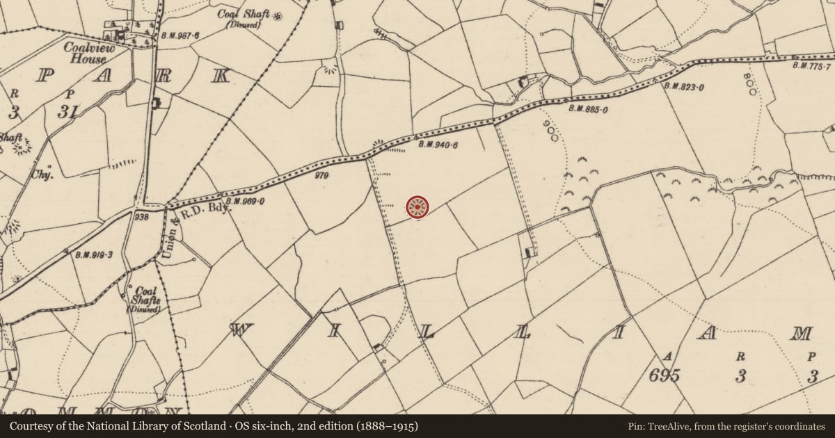 Ordnance Survey six-inch map, 2nd edition (1888–1915) covering the location of Barrow - ring-barrow, Williamstown, County Tipperary South, with a pin at the register's coordinates