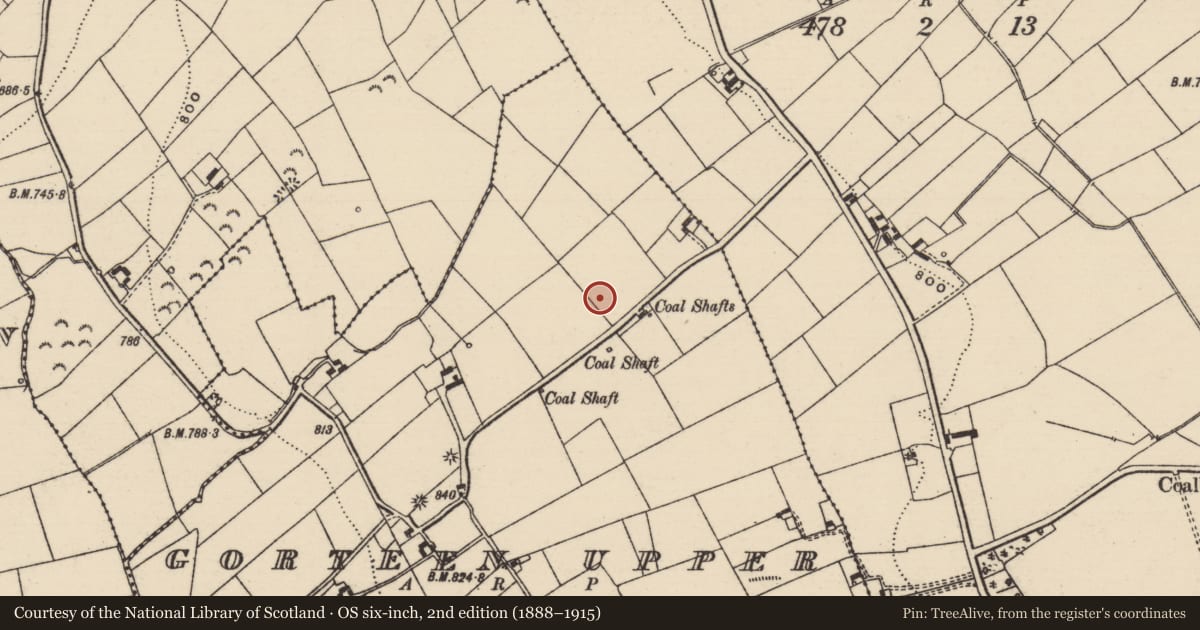 Ordnance Survey six-inch map, 2nd edition (1888–1915) covering the location of Barrow - ditch barrow, Gorteen Upper, County Tipperary South, with a pin at the register's coordinates