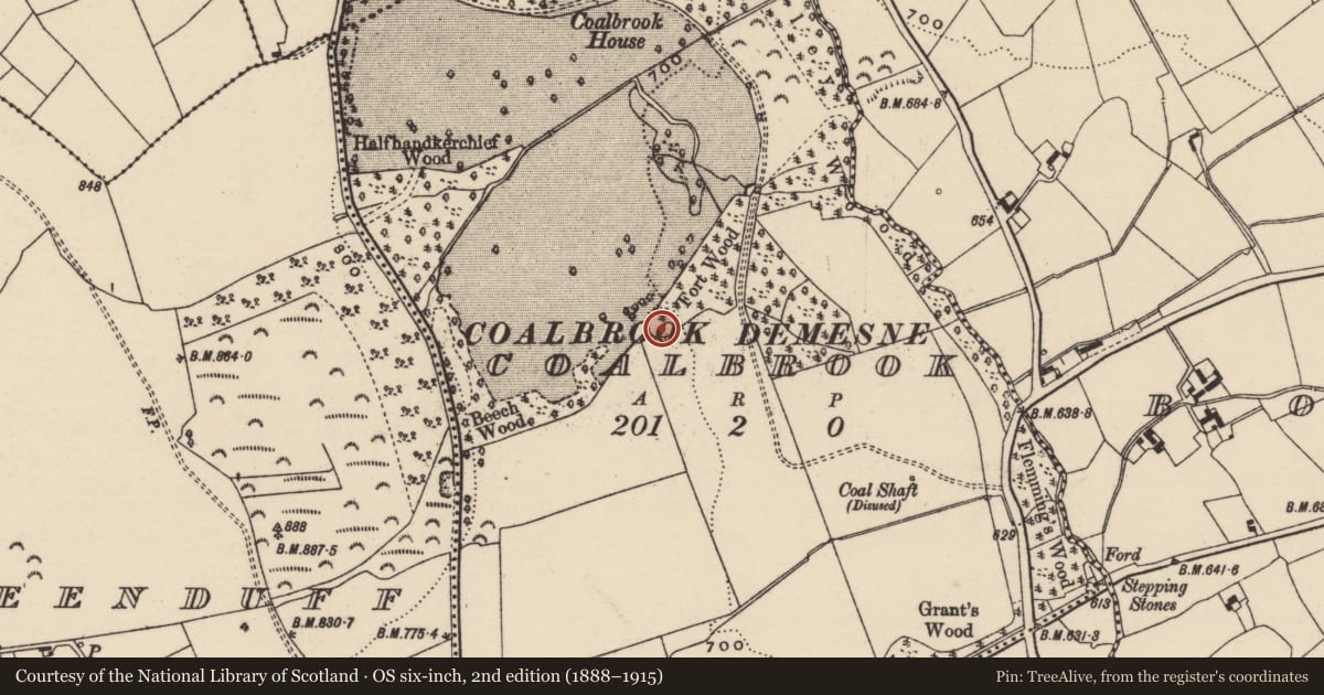 Ordnance Survey six-inch map, 2nd edition (1888–1915) covering the location of Enclosure, Coalbrook, County Tipperary South, with a pin at the register's coordinates