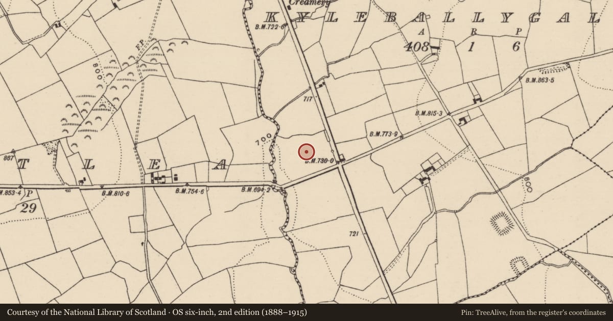 Ordnance Survey six-inch map, 2nd edition (1888–1915) covering the location of Enclosure, Kyleballygalvan, County Tipperary South, with a pin at the register's coordinates
