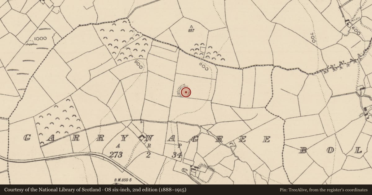 Ordnance Survey six-inch map, 2nd edition (1888–1915) covering the location of Ringfort - rath, Garrynagree, County Tipperary South, with a pin at the register's coordinates