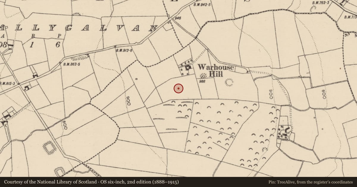 Ordnance Survey six-inch map, 2nd edition (1888–1915) covering the location of Burial, Farranrory Upper, County Tipperary South, with a pin at the register's coordinates