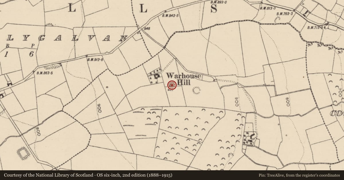 Ordnance Survey six-inch map, 2nd edition (1888–1915) covering the location of Barrow - ring-barrow, Farranrory Upper, County Tipperary South, with a pin at the register's coordinates