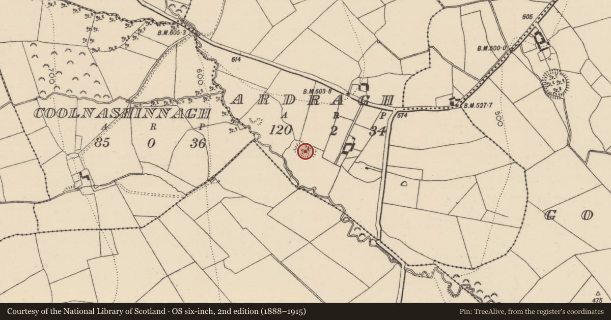 Ordnance Survey six-inch map, 2nd edition (1888–1915) covering the location of Ringfort - rath, Ardragh, County Tipperary South, with a pin at the register's coordinates