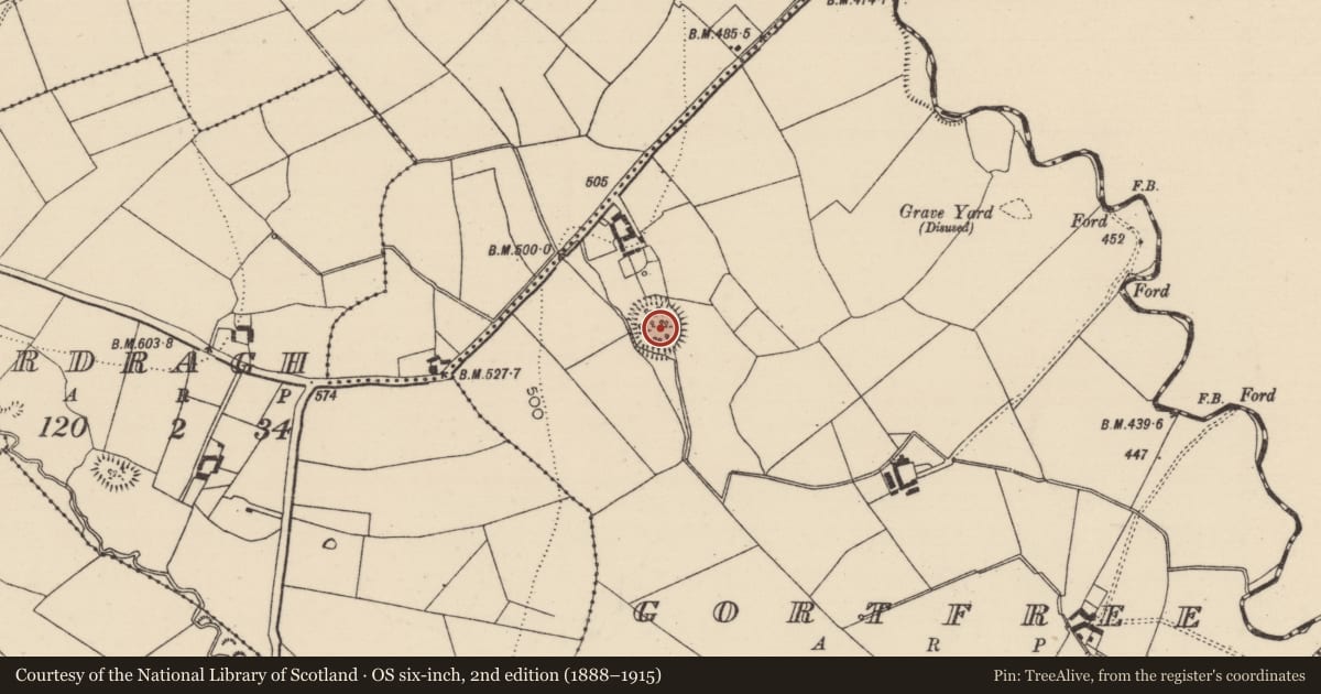Ordnance Survey six-inch map, 2nd edition (1888–1915) covering the location of Ringfort - rath, Gortfree, County Tipperary South, with a pin at the register's coordinates
