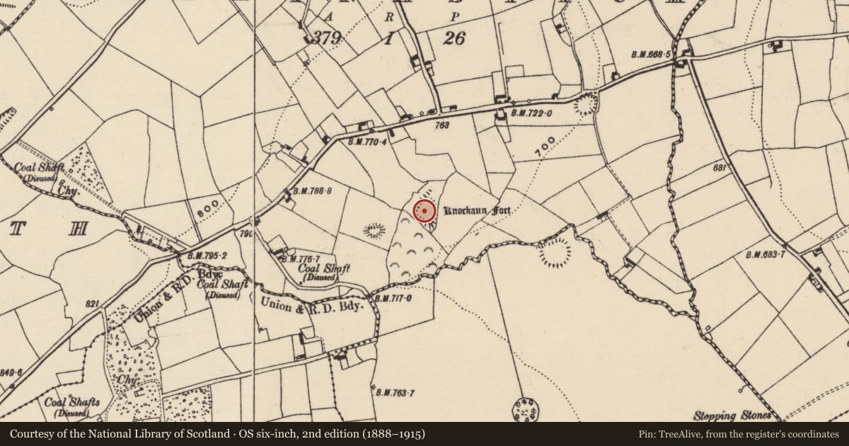 Ordnance Survey six-inch map, 2nd edition (1888–1915) covering the location of Cliff-edge fort, Ballynastick, County Tipperary South, with a pin at the register's coordinates