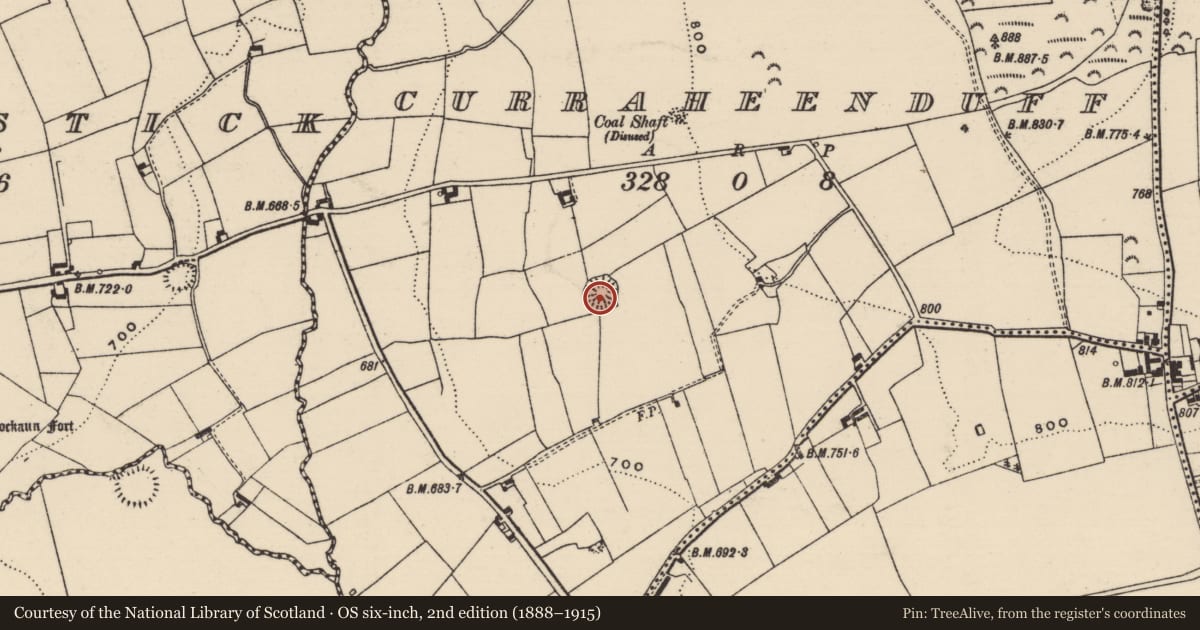 Ordnance Survey six-inch map, 2nd edition (1888–1915) covering the location of Barrow - ring-barrow, Curraheenduff, County Tipperary South, with a pin at the register's coordinates