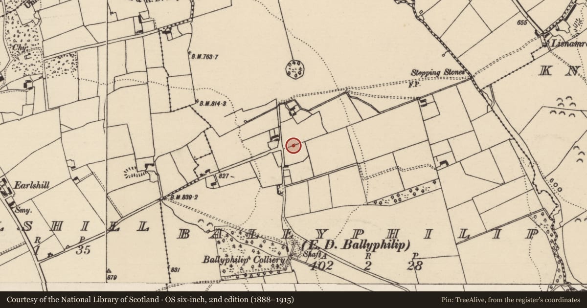 Ordnance Survey six-inch map, 2nd edition (1888–1915) covering the location of Enclosure, Ballyphilip (Ballingarry Par., South Riding), County Tipperary South, with a pin at the register's coordinates