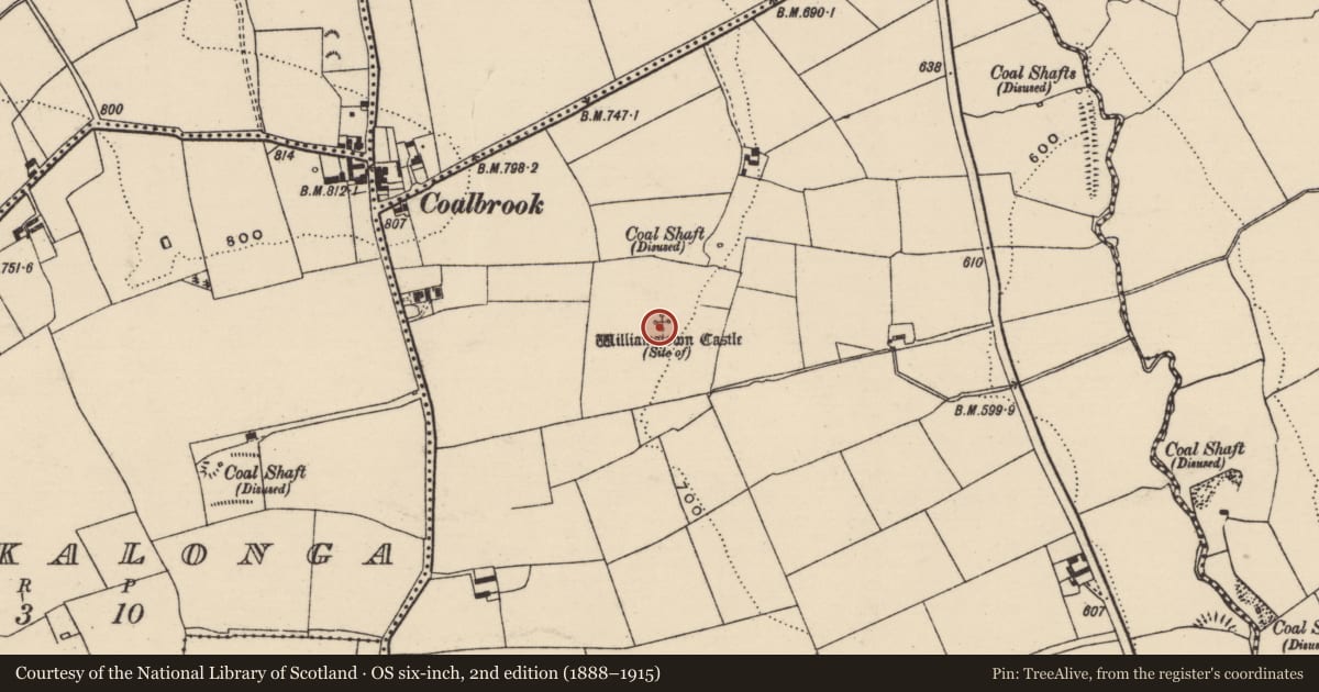 Ordnance Survey six-inch map, 2nd edition (1888–1915) covering the location of Castle - unclassified, Clashduff, County Tipperary South, with a pin at the register's coordinates