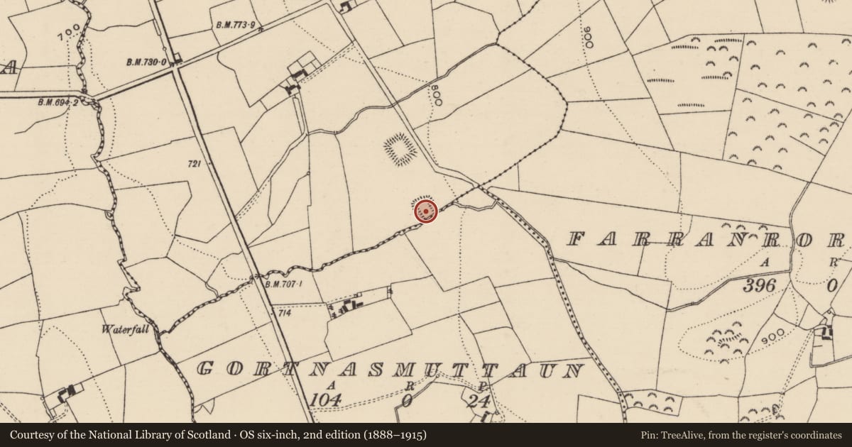 Ordnance Survey six-inch map, 2nd edition (1888–1915) covering the location of Moated site, Gortnasmuttaun, Kyleballygalvan, County Tipperary South, with a pin at the register's coordinates