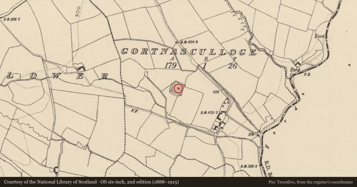 Ordnance Survey six-inch map, 2nd edition (1888–1915) covering the location of Moated site, Gortnasculloge, County Tipperary South, with a pin at the register's coordinates