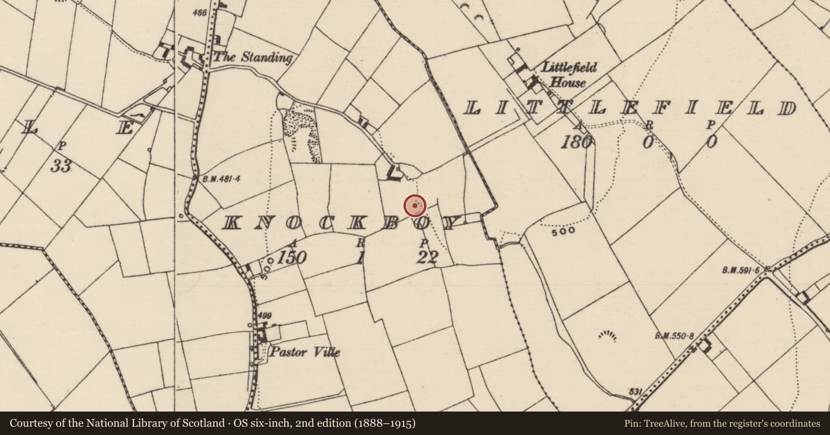 Ordnance Survey six-inch map, 2nd edition (1888–1915) covering the location of Burial ground, Knockboy, County Tipperary South, with a pin at the register's coordinates
