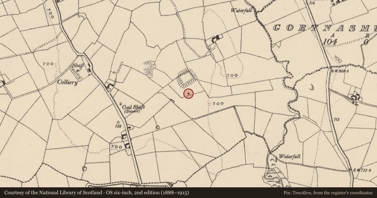 Ordnance Survey six-inch map, 2nd edition (1888–1915) covering the location of Fulacht fia, Bolintlea, County Tipperary South, with a pin at the register's coordinates