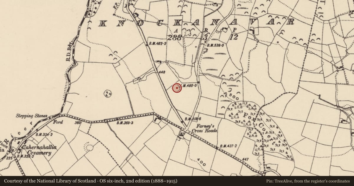 Ordnance Survey six-inch map, 2nd edition (1888–1915) covering the location of Castle - ringwork, Knockanavar, County Tipperary South, with a pin at the register's coordinates