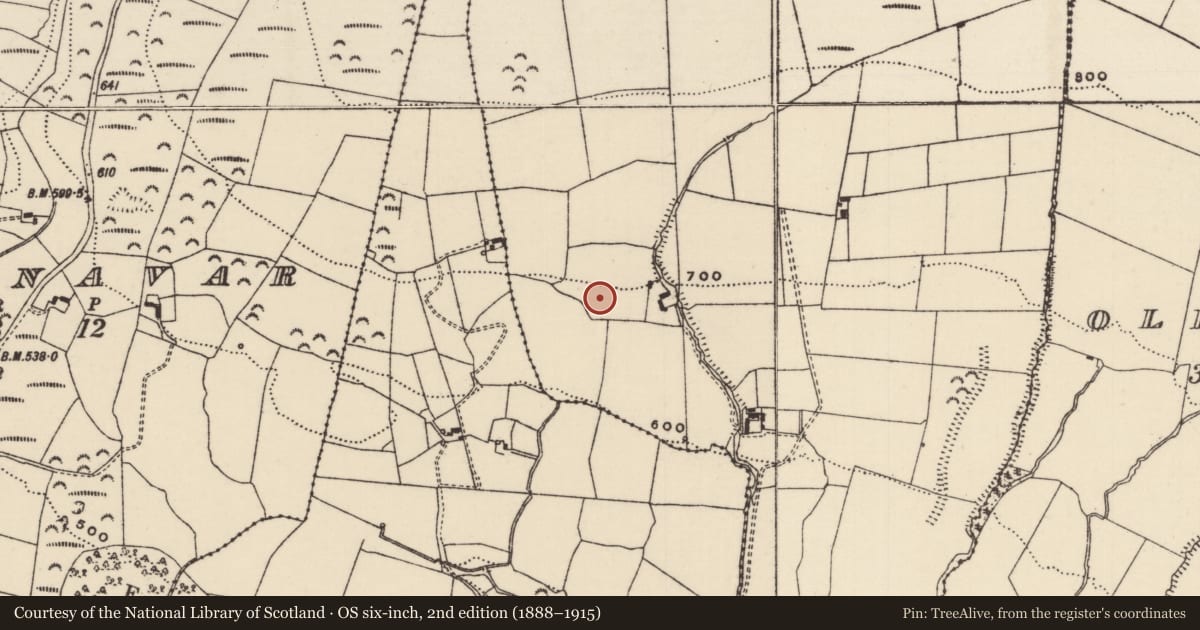 Ordnance Survey six-inch map, 2nd edition (1888–1915) covering the location of Enclosure, Moher East, County Tipperary South, with a pin at the register's coordinates