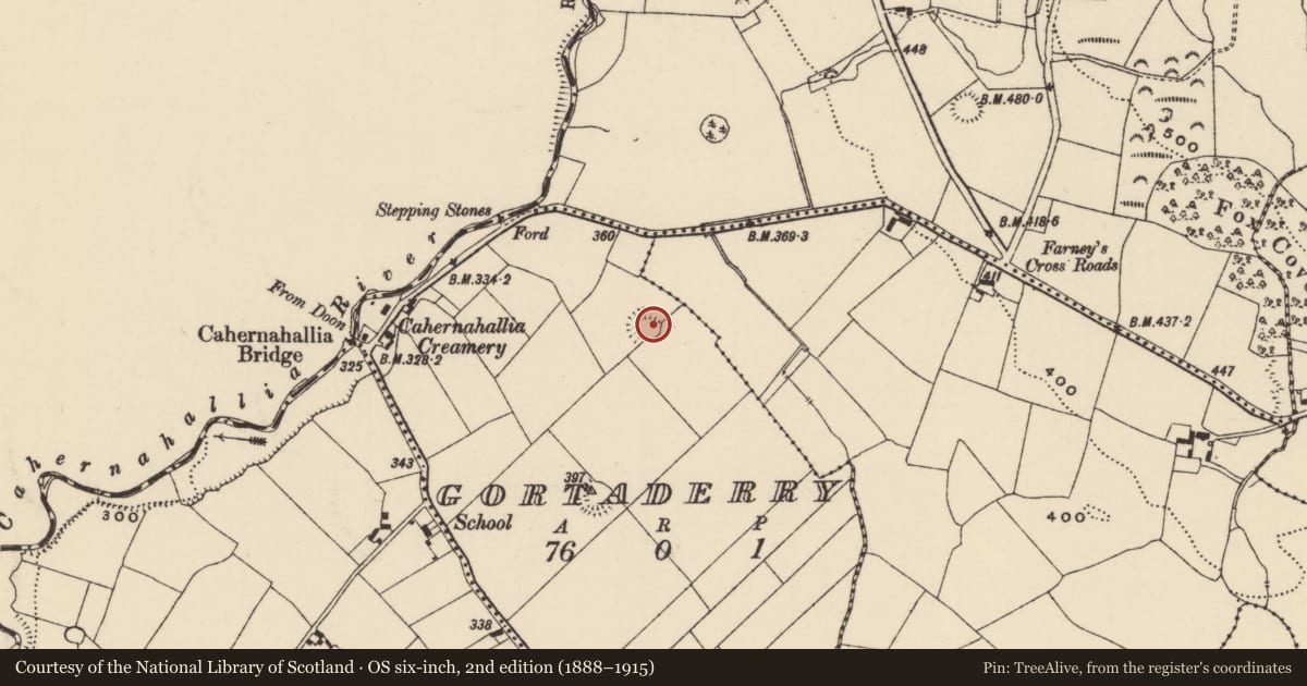 Ordnance Survey six-inch map, 2nd edition (1888–1915) covering the location of Ringfort - rath, Gortaderry, County Tipperary South, with a pin at the register's coordinates