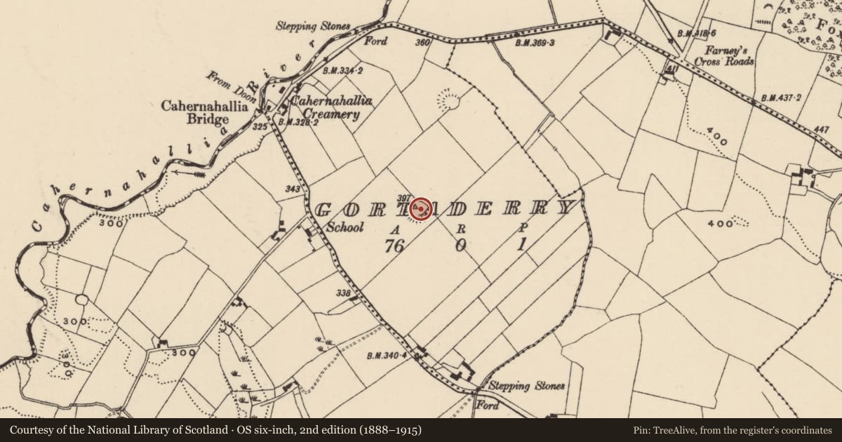 Ordnance Survey six-inch map, 2nd edition (1888–1915) covering the location of Ringfort - rath, Gortaderry, County Tipperary South, with a pin at the register's coordinates