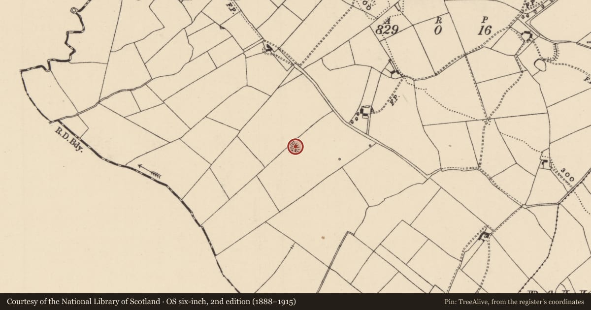 Ordnance Survey six-inch map, 2nd edition (1888–1915) covering the location of Mound, Cahernahallia, County Tipperary South, with a pin at the register's coordinates