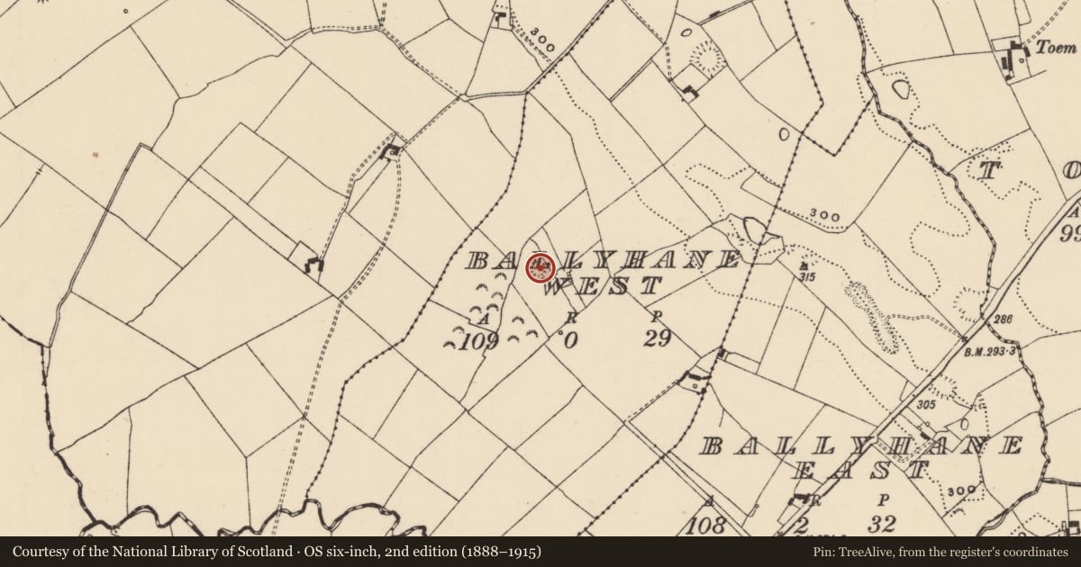 Ordnance Survey six-inch map, 2nd edition (1888–1915) covering the location of Enclosure, Ballyhane West, County Tipperary South, with a pin at the register's coordinates