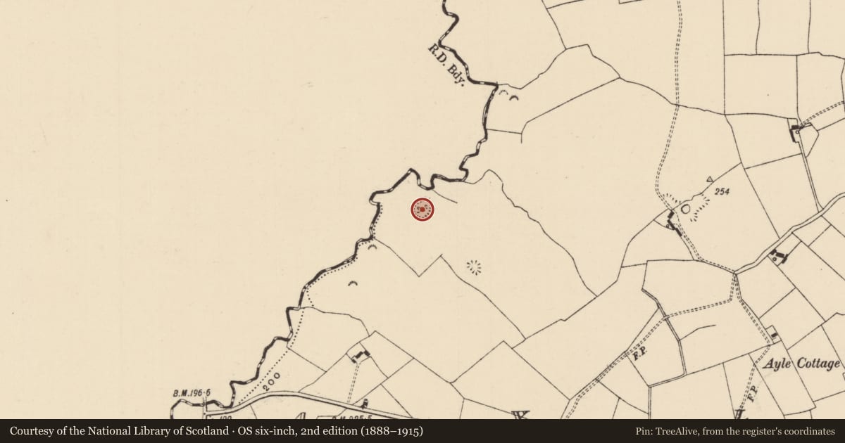 Ordnance Survey six-inch map, 2nd edition (1888–1915) covering the location of Enclosure, Ayle (Toem Par.), County Tipperary South, with a pin at the register's coordinates