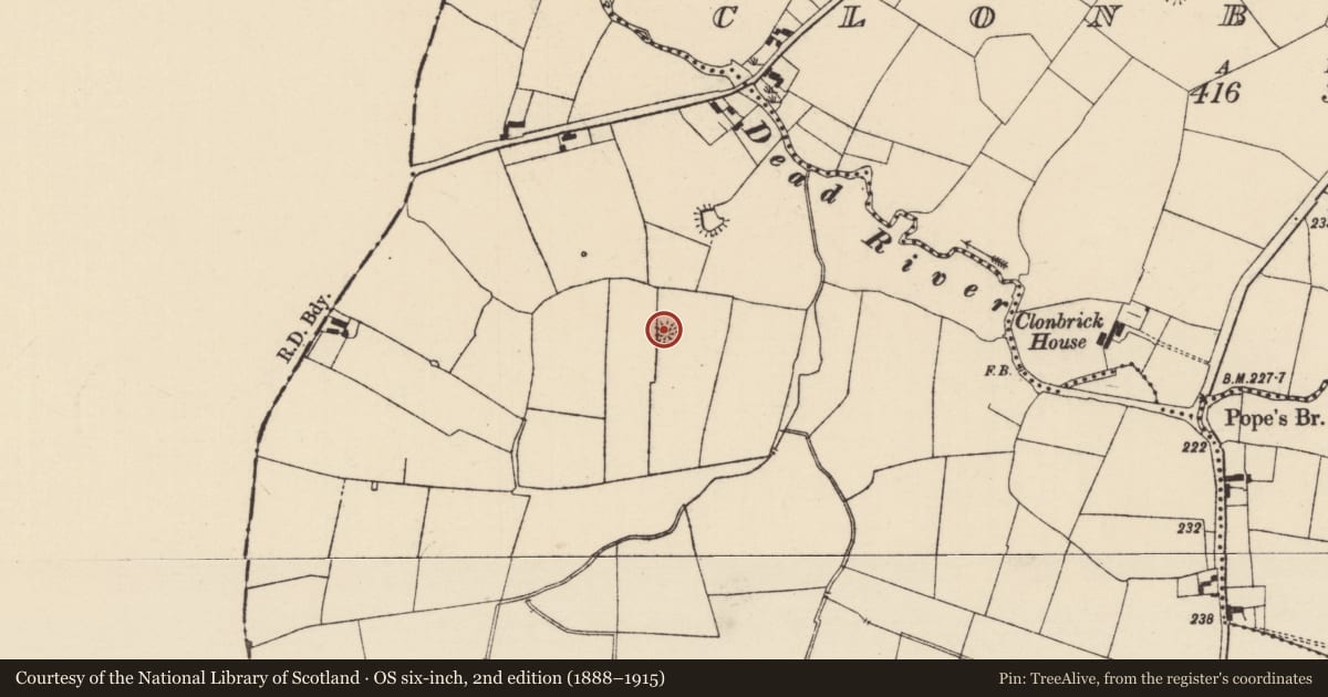 Ordnance Survey six-inch map, 2nd edition (1888–1915) covering the location of Ringfort - rath, Knockphelagh, County Tipperary South, with a pin at the register's coordinates