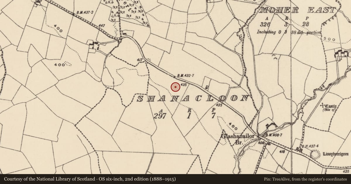 Ordnance Survey six-inch map, 2nd edition (1888–1915) covering the location of Bullaun stone (present location), Shanacloon (Toem Par.), County Tipperary South, with a pin at the register's coordinates