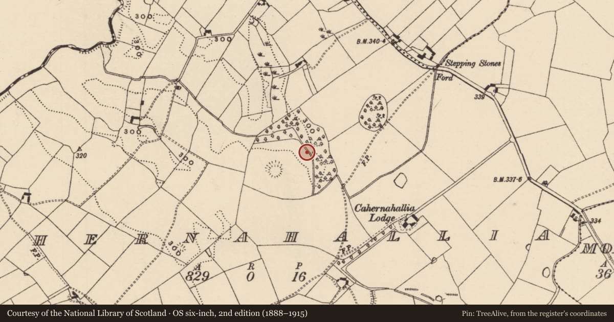 Ordnance Survey six-inch map, 2nd edition (1888–1915) covering the location of Fulacht fia, Cahernahallia, County Tipperary South, with a pin at the register's coordinates