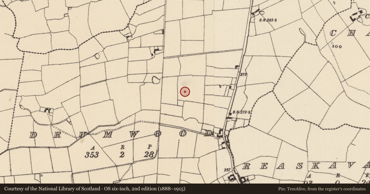 Ordnance Survey six-inch map, 2nd edition (1888–1915) covering the location of Embanked enclosure, Drumwood (Solloghodmore Par.), County Tipperary South, with a pin at the register's coordinates