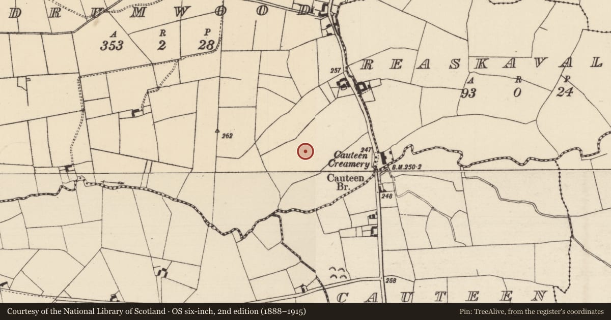 Ordnance Survey six-inch map, 2nd edition (1888–1915) covering the location of Barrow - ring-barrow, Drumwood (Solloghodmore Par.), County Tipperary South, with a pin at the register's coordinates