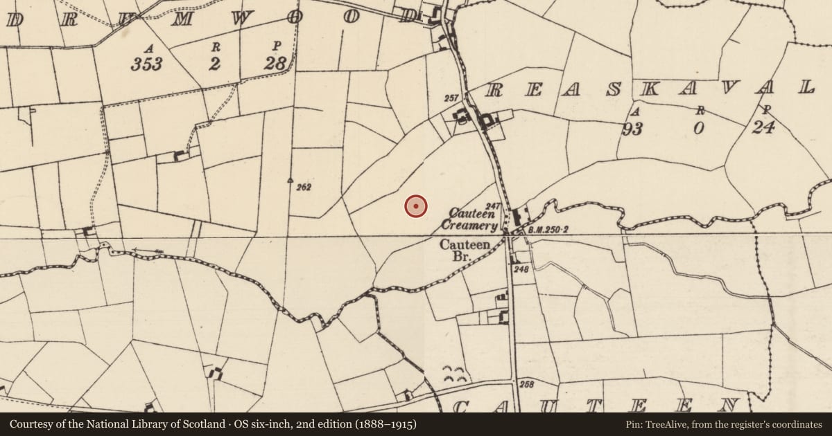 Ordnance Survey six-inch map, 2nd edition (1888–1915) covering the location of Barrow - ring-barrow, Drumwood (Solloghodmore Par.), County Tipperary South, with a pin at the register's coordinates
