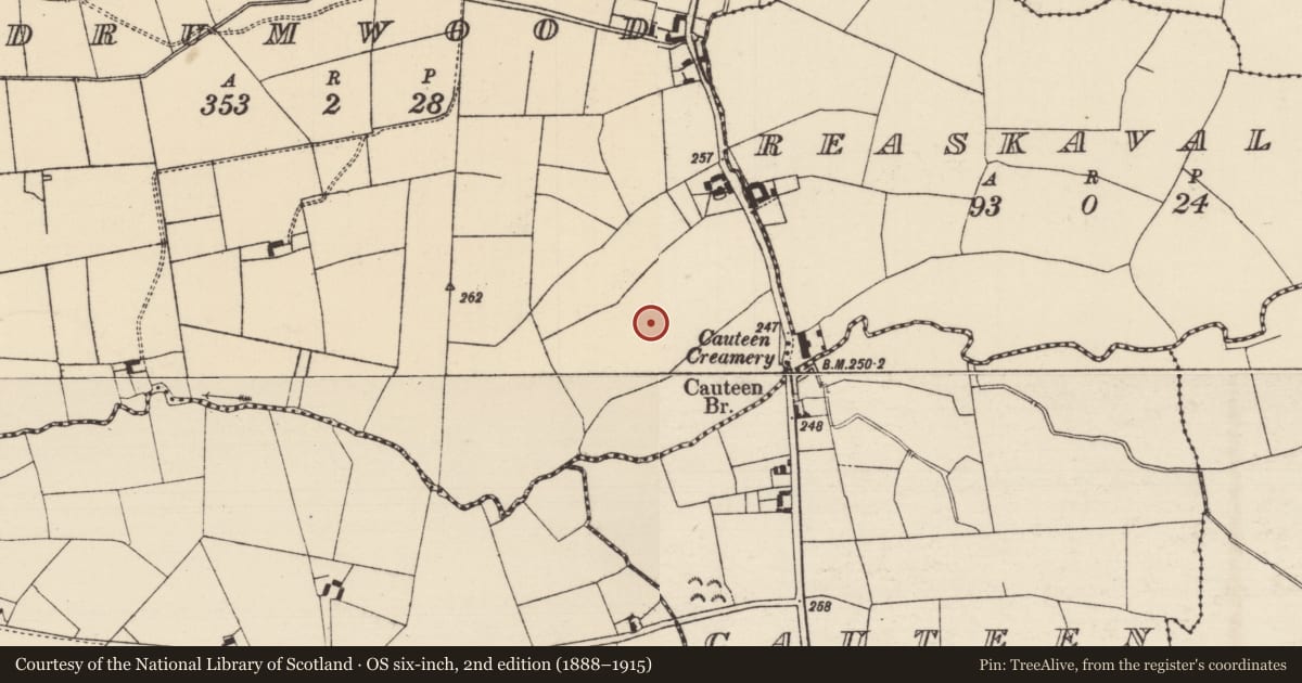 Ordnance Survey six-inch map, 2nd edition (1888–1915) covering the location of Barrow - ring-barrow, Drumwood (Solloghodmore Par.), County Tipperary South, with a pin at the register's coordinates