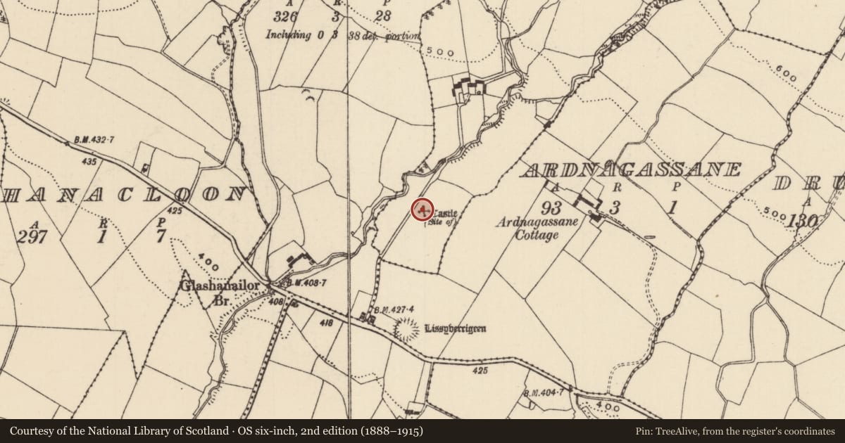 Ordnance Survey six-inch map, 2nd edition (1888–1915) covering the location of Castle - unclassified, Oldcastle (Toem Par.), County Tipperary South, with a pin at the register's coordinates