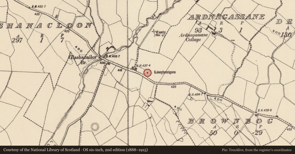 Ordnance Survey six-inch map, 2nd edition (1888–1915) covering the location of Ringfort - rath, Ardnagassane, Knockane (Toem Par.), County Tipperary South, with a pin at the register's coordinates