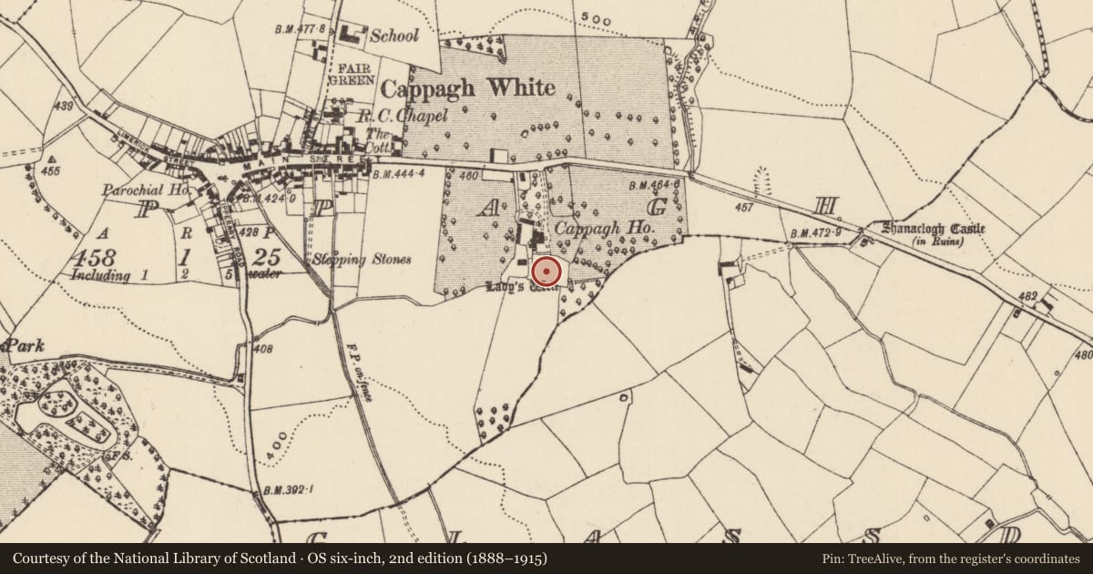 Ordnance Survey six-inch map, 2nd edition (1888–1915) covering the location of House - indeterminate date, Cappagh (Toem Par.), County Tipperary South, with a pin at the register's coordinates