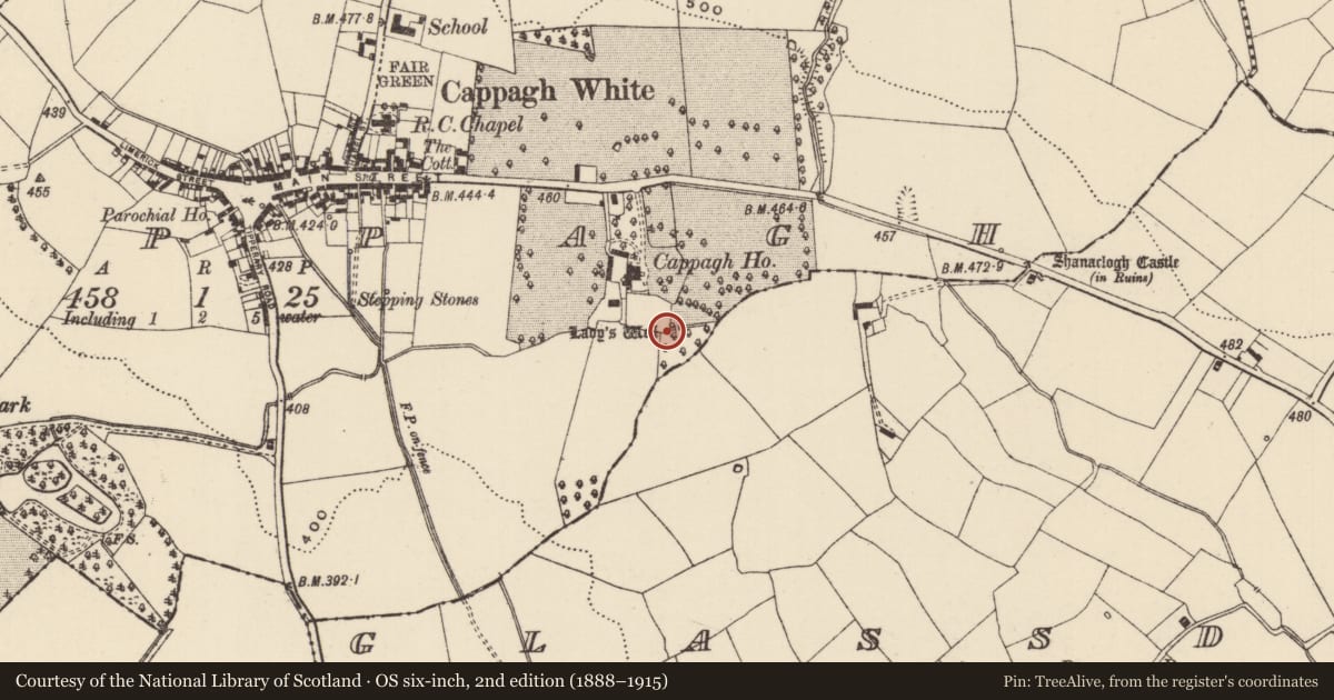 Ordnance Survey six-inch map, 2nd edition (1888–1915) covering the location of Ritual site - holy well, Cappagh (Toem Par.), County Tipperary South, with a pin at the register's coordinates