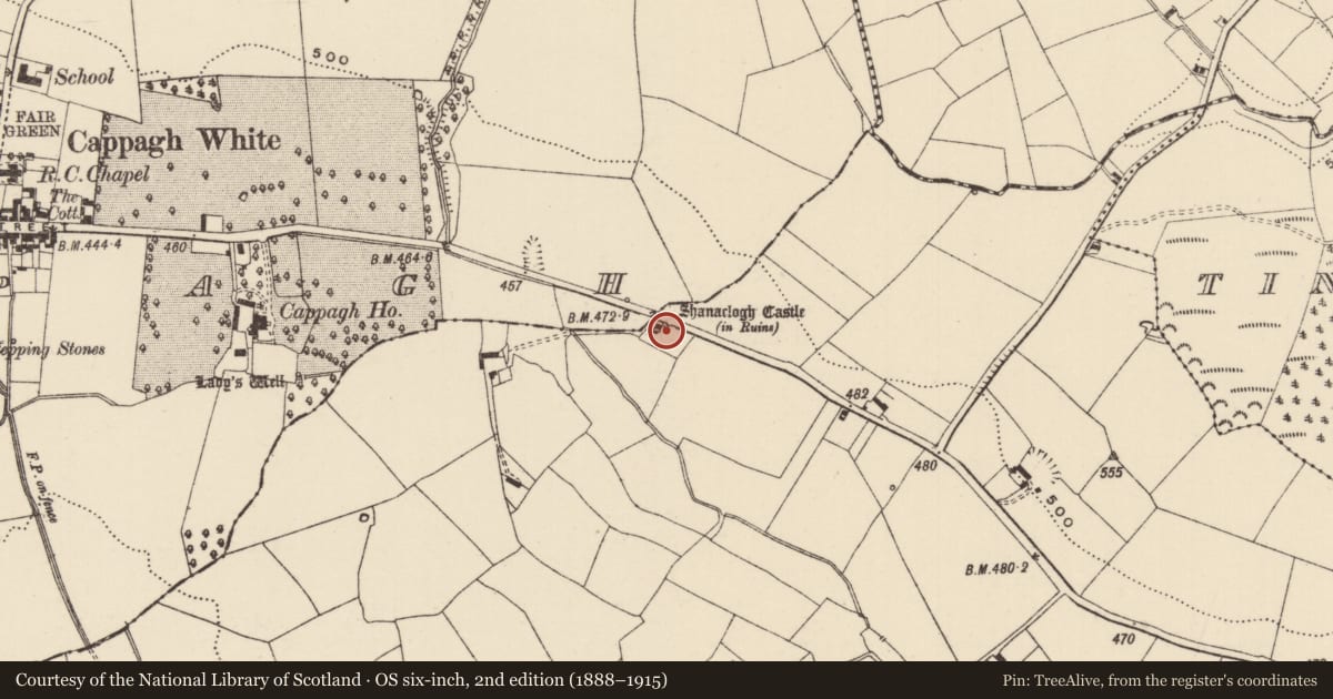 Ordnance Survey six-inch map, 2nd edition (1888–1915) covering the location of Castle - unclassified, Glassdrum, County Tipperary South, with a pin at the register's coordinates