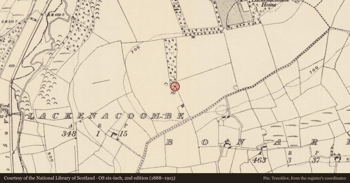 Ordnance Survey six-inch map, 2nd edition (1888–1915) covering the location of Designed landscape - tree-ring, Lackenacoombe, County Tipperary South, with a pin at the register's coordinates