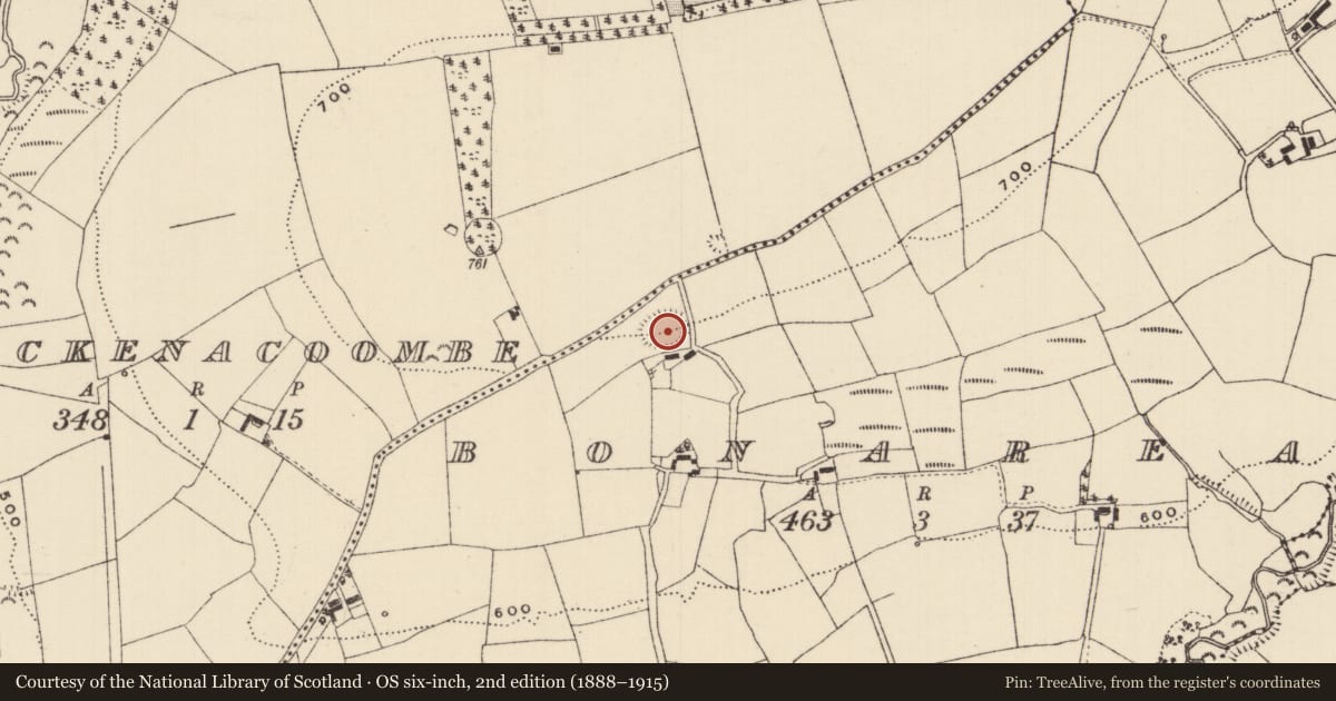 Ordnance Survey six-inch map, 2nd edition (1888–1915) covering the location of Enclosure, Bonarea, County Tipperary South, with a pin at the register's coordinates