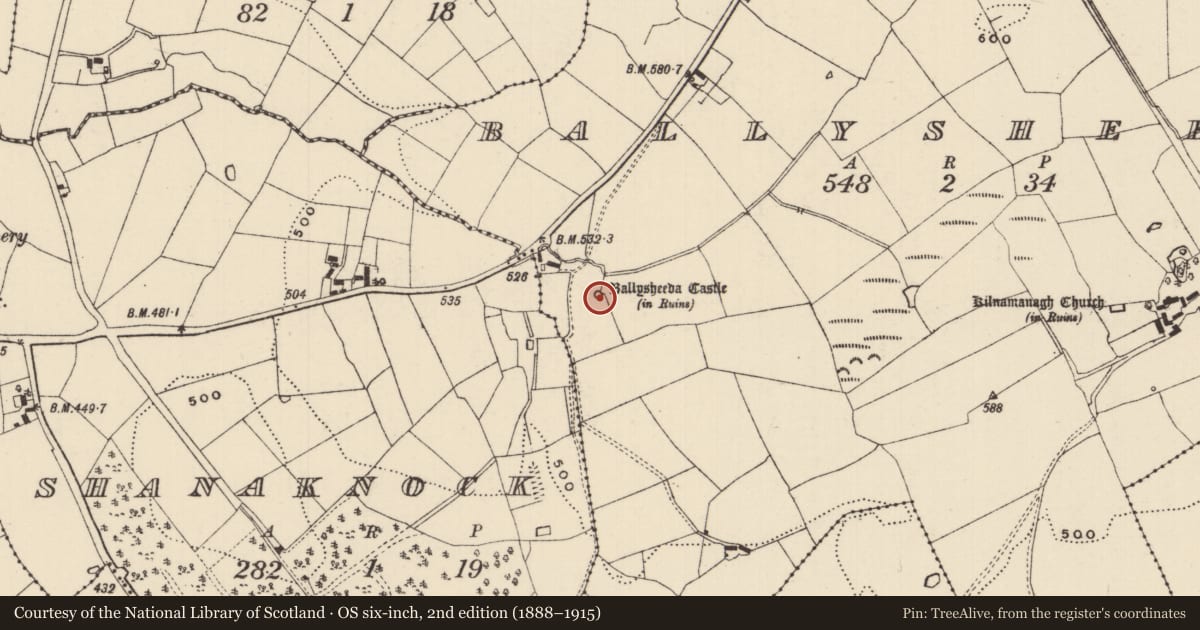 Ordnance Survey six-inch map, 2nd edition (1888–1915) covering the location of Castle - tower house, Ballysheeda (Donohill Par.), County Tipperary South, with a pin at the register's coordinates