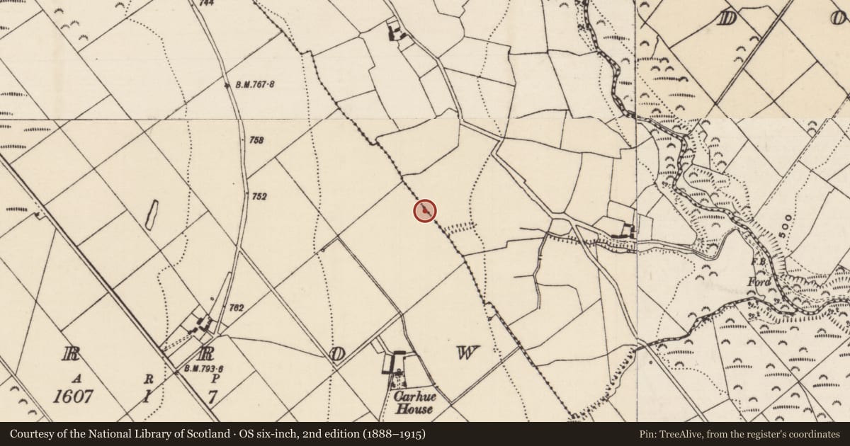 Ordnance Survey six-inch map, 2nd edition (1888–1915) covering the location of Enclosure - large enclosure, Carrow (Donohill Par.), Carrowkeale (Donohill Par.), County Tipperary South, with a pin at the register's coordinates