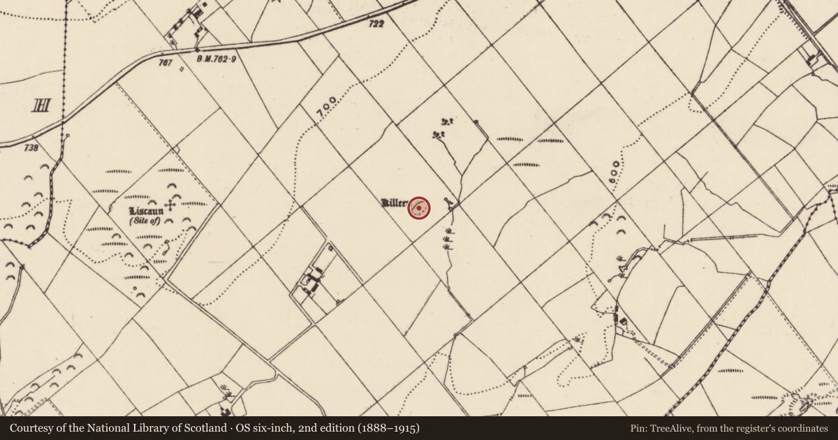 Ordnance Survey six-inch map, 2nd edition (1888–1915) covering the location of Children's burial ground, Carrow (Donohill Par.), County Tipperary South, with a pin at the register's coordinates