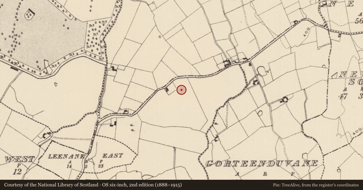 Ordnance Survey six-inch map, 2nd edition (1888–1915) covering the location of Enclosure, Ballyneill (Donohill Par.), County Tipperary South, with a pin at the register's coordinates